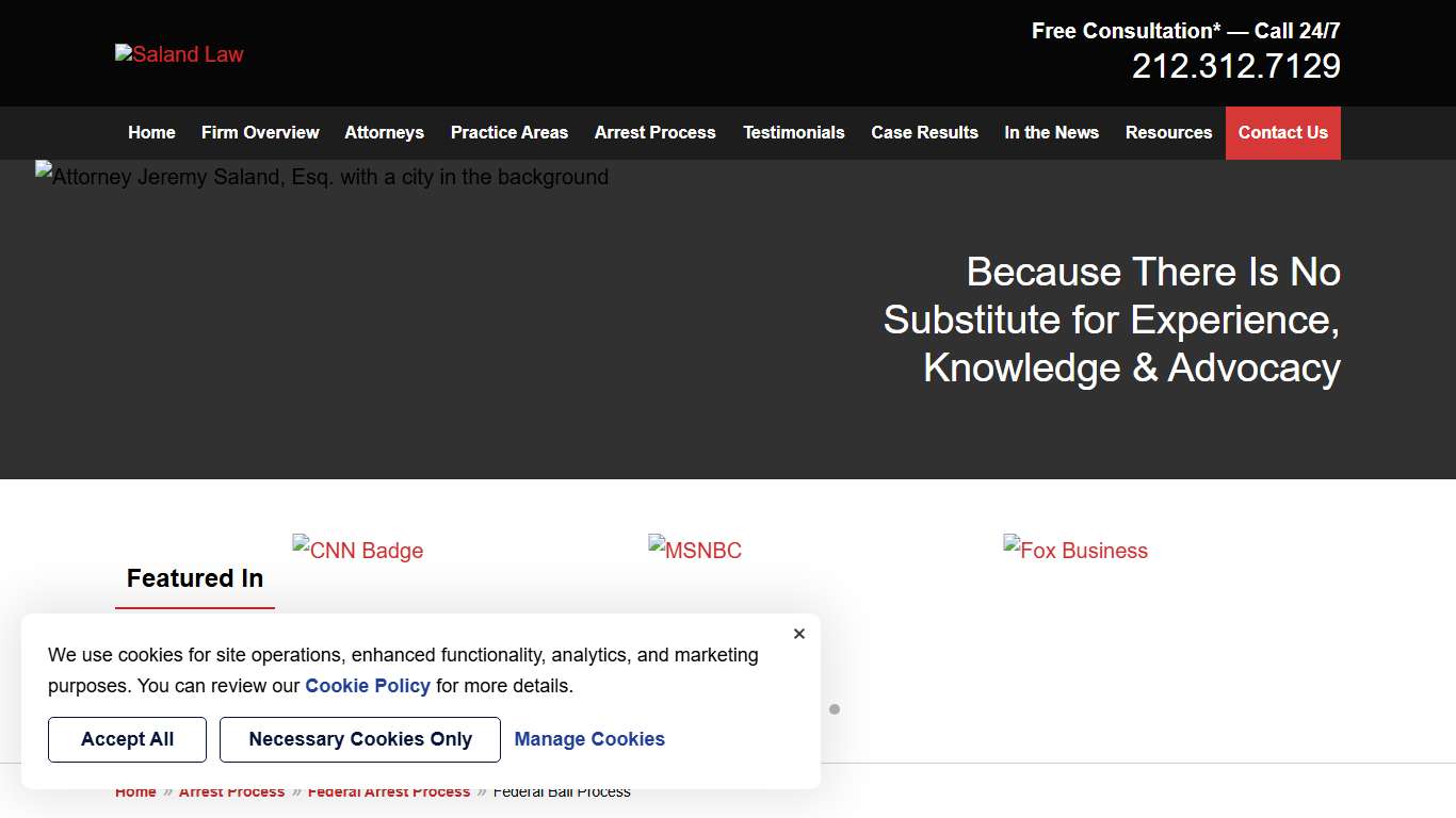 Understanding the Federal Bail Process New York Criminal Lawyers